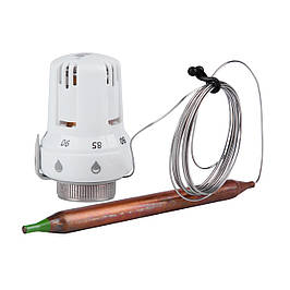 Термоголівки