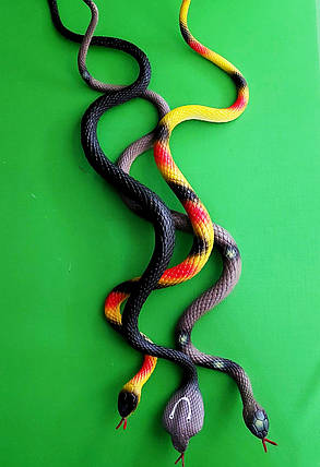 Гра Змія (25), фото 1