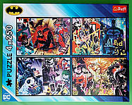 4 в 1 (4 пазли по 250 елементів)