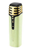 Бездротовий караоке мікрофон EL-1304