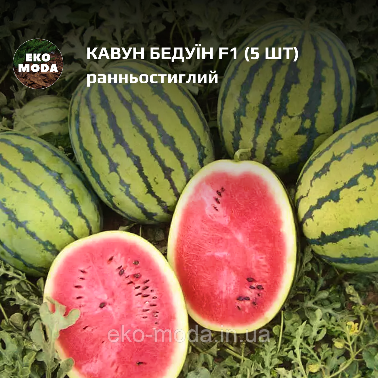 Кавун Бедуїн F1 - ранньостиглий - ( 5 шт zip-пакет)