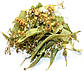 Липа цвіт, 500 г, фото 2