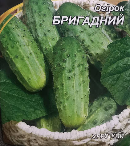 Огірок Бригадний 3г, фото 1