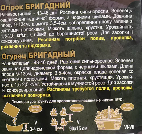 Огірок Бригадний 3г, фото 3