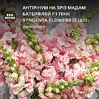 Антірінум на зріз Мадам Батерфляй F1 пінк Syngenta Flowers - ( 5 шт zip-пакет)