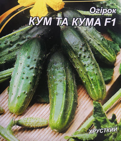 Огірок Кум та кума F1 3г, фото 1