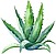 AloeVeraMarket
