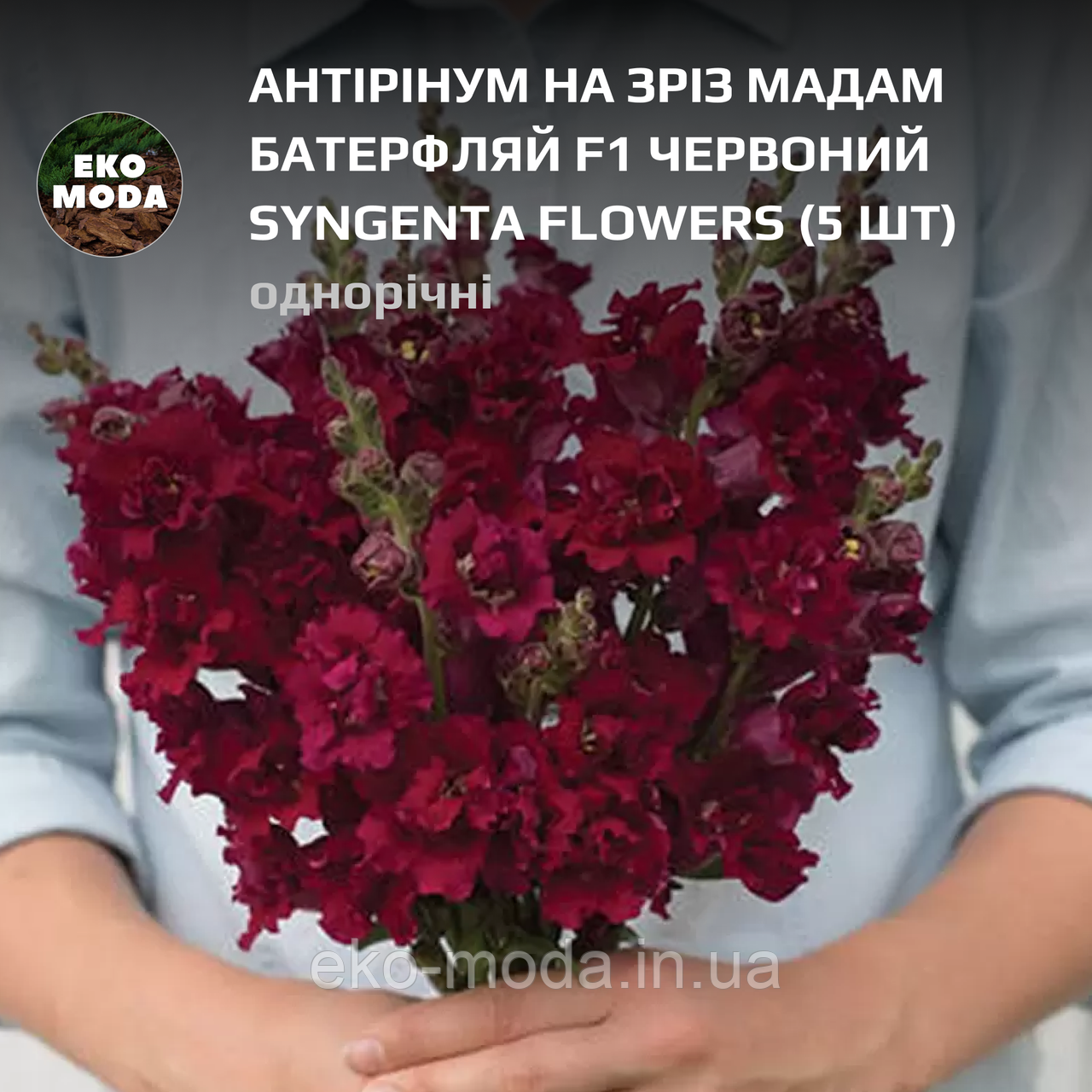 Антірінум на зріз Мадам Батерфляй F1 червоний Syngenta Flowers - ( 5 шт zip-пакет)