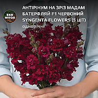 Антірінум на зріз Мадам Батерфляй F1 червоний Syngenta Flowers - ( 5 шт zip-пакет)