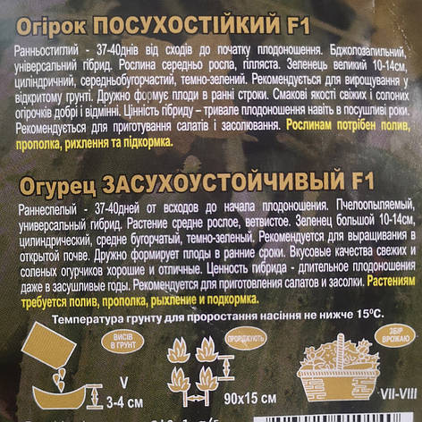 Огірок Посухостійкий F1 3г, фото 3