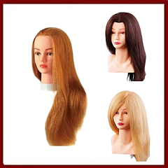 Навчальні голови та штативи