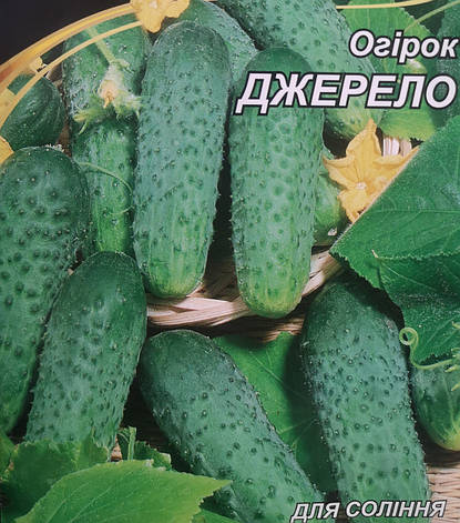 Огірок Джерело 5г, фото 1