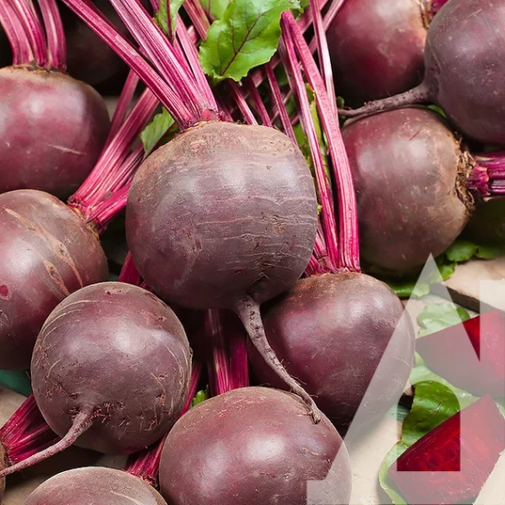 Буряк Детройт 20 г СЦ GSN Semences, фото 1