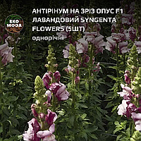 Антірінум на зріз Опус F1 лавандовий Syngenta Flowers - ( 5 шт zip-пакет)
