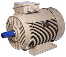 Електродвигун IE3 енергоефективний LEDERMANN L3E G 280MK4 110.0 кВт 1500 об/хв B3