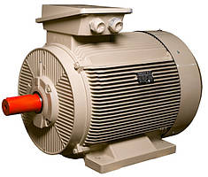 Електродвигун IE3 енергоефективний LEDERMANN L3E G 315MB6 110.0 кВт 1000 об/хв B3 стандарт DIN