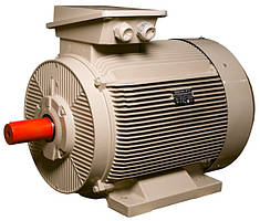 Електродвигун IE3 енергоефективний LEDERMANN L3E G 315MA2 132.0 кВт 3000 об/хв B3 стандарт DIN