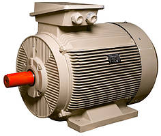Електродвигун IE3 енергоефективний LEDERMANN L3E G 315MC6 132.0 кВт 1000 об/хв B3 стандарт DIN