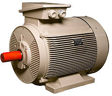 Електродвигун IE3 енергоефективний LEDERMANN L3E G 315MB2 160.0 кВт 3000 об/хв B3 стандарт DIN
