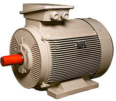 Електродвигун IE3 енергоефективний LEDERMANN L3E G 315MB4 160.0 кВт 1500 об/хв B3 стандарт DIN