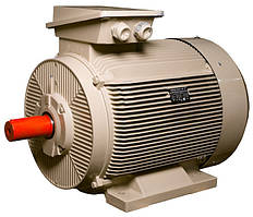 Електродвигун IE3 енергоефективний LEDERMANN L3E G 355MB6 200.0 кВт 1000 об/хв B3 стандарт DIN