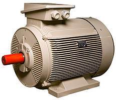 Електродвигун IE3 енергоефективний LEDERMANN L3E G 315MK2 250.0 кВт 3000 об/хв B3