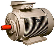 Електродвигун IE3 енергоефективний LEDERMANN L3E G 355MA2 250.0 кВт 3000 об/хв B3 стандарт DIN