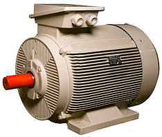 Електродвигун IE3 енергоефективний LEDERMANN L3E G 355MC6 250.0 кВт 1000 об/хв B3 стандарт DIN