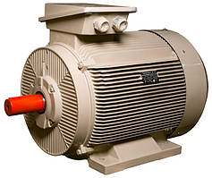 Електродвигун IE3 енергоефективний LEDERMANN L3E G 355MB2 315.0 кВт 3000 об/хв B3 стандарт DIN
