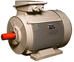 Електродвигун IE3 енергоефективний LEDERMANN L3E G 355MB4 315.0 кВт 1500 об/хв B3 стандарт DIN