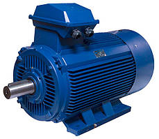АИР315M8 електродвигун 110 кВт 750 об/хв ІМ1001