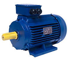 АИР112MA6 електродвигун 3 кВт 1000 об/хв IM1081