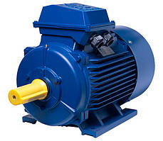 АИР200L6 електродвигун 30 кВт 1000 об/хв IM1081