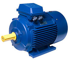 АИР225M8 електродвигун 30 кВт 750 об/хв IM1081