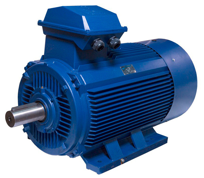 АИР355M8 електродвигун 160 кВт 750 об/хв ІМ1001