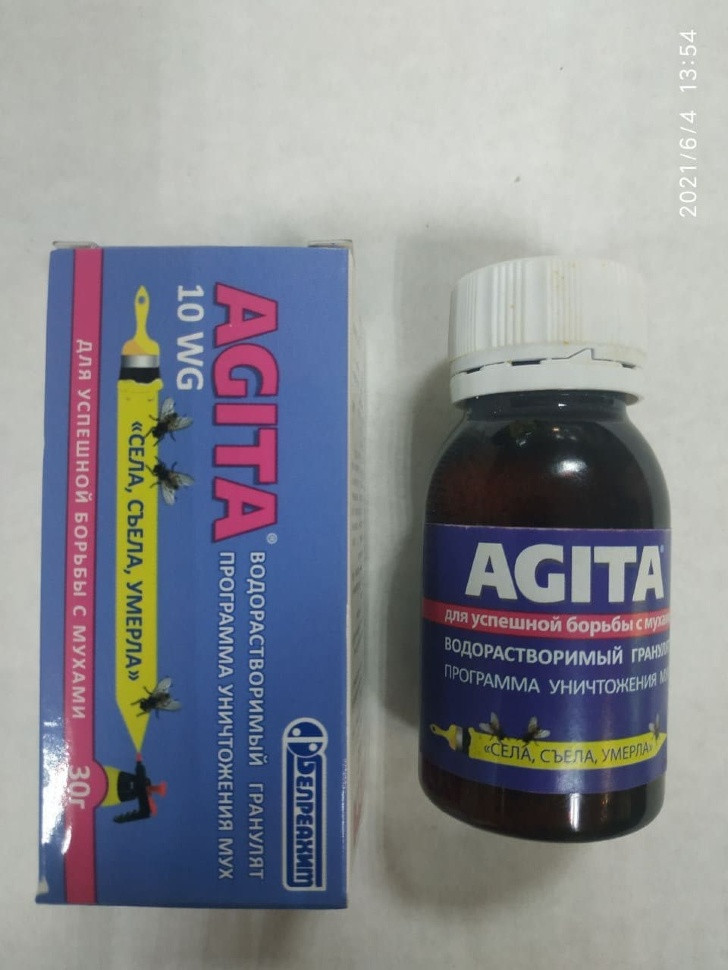Агіта (миша)