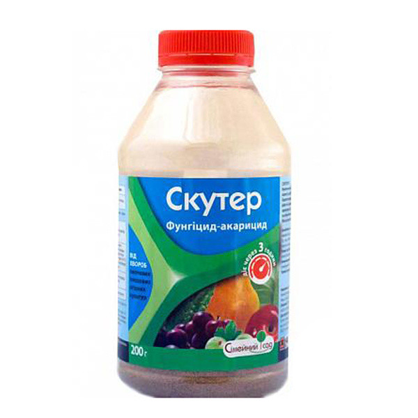 Скутер 200 г