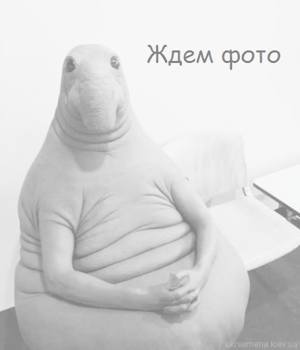 РАЙДАП 1 л. ПОЛЬША, фото 1