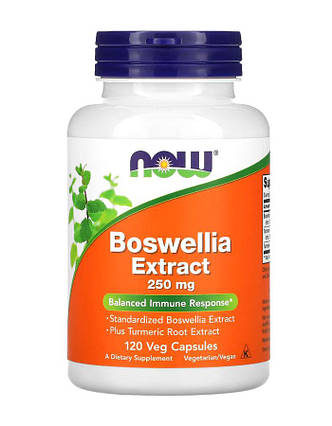 Екстракт босвеллії NOW Foods Boswellia Extract 250 мг 120 капс США, фото 1