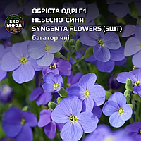 Обрієта Одрі F1 небесно-синя Syngenta Flowers - ( 5 шт zip-пакет)