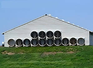 Вентиляція тваринницьких ферм