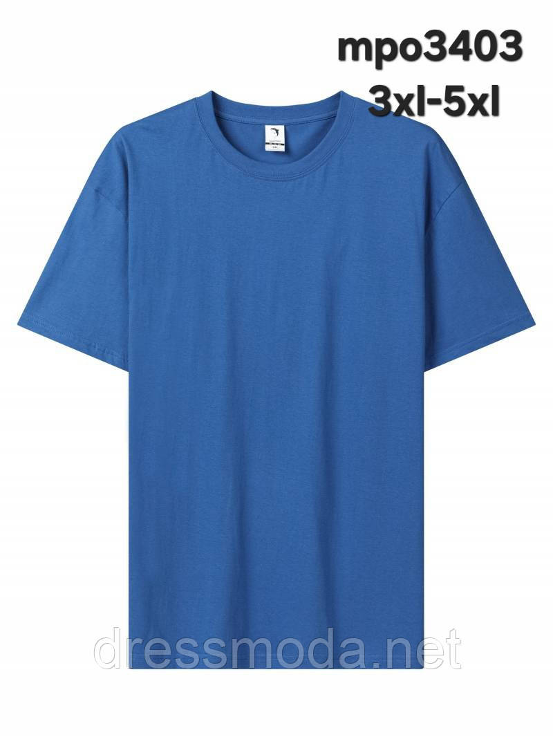 Чоловічі футболки Glo-Story 3XL-5XL