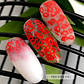 Гель для дизайну CROOZ KISS GEL Red, 5 мл, фото 6