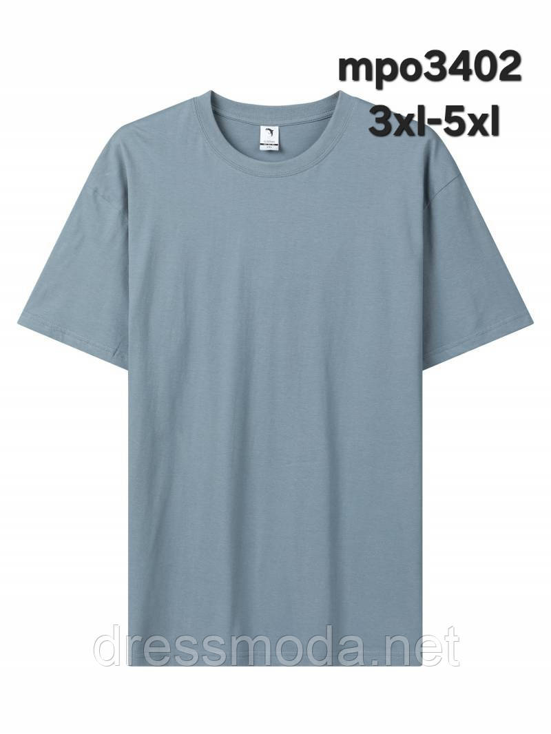 Чоловічі футболки Glo-Story 3XL-5XL