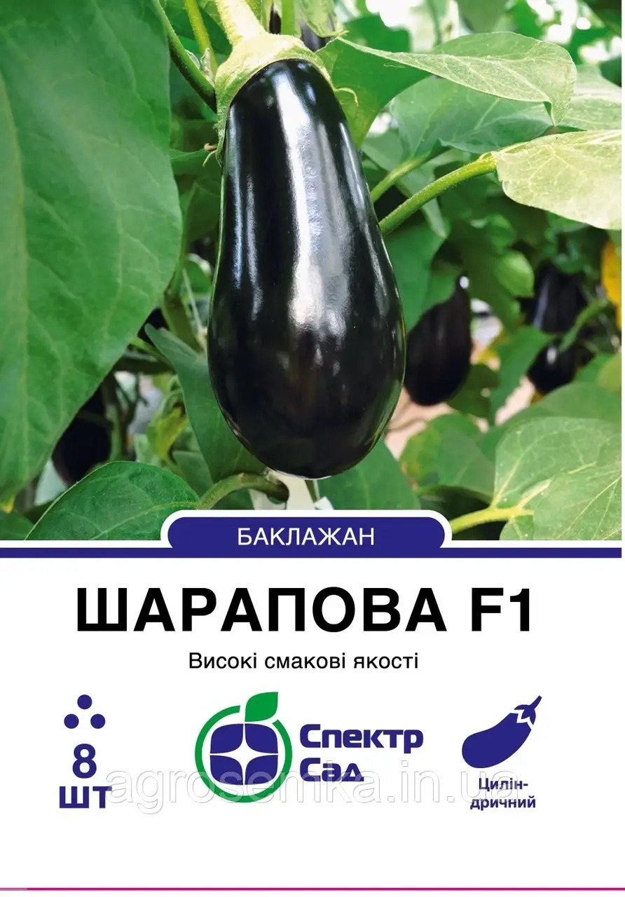 Баклажан Шарапова F1, 8 шт Спетр сад / Rijk Zwaan, фото 1