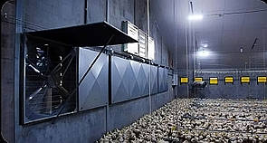 Система мікроклімату в птахофермі