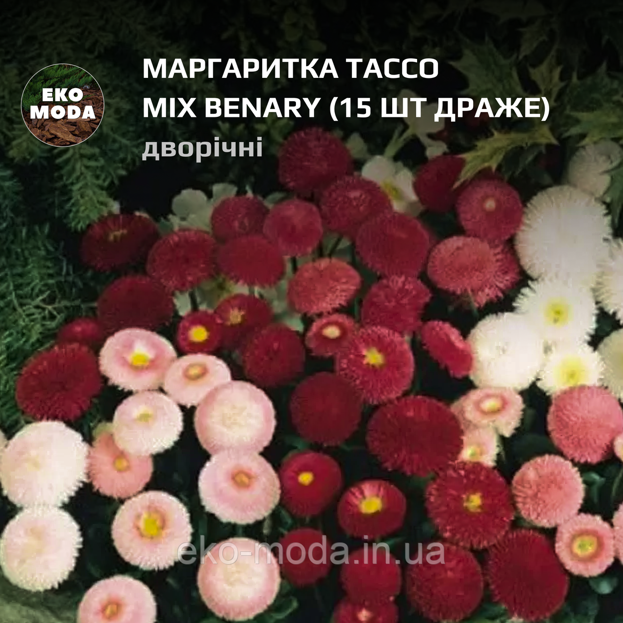 Маргаритка Тассо mix Benary  - ( 15 шт драже zip-пакет)