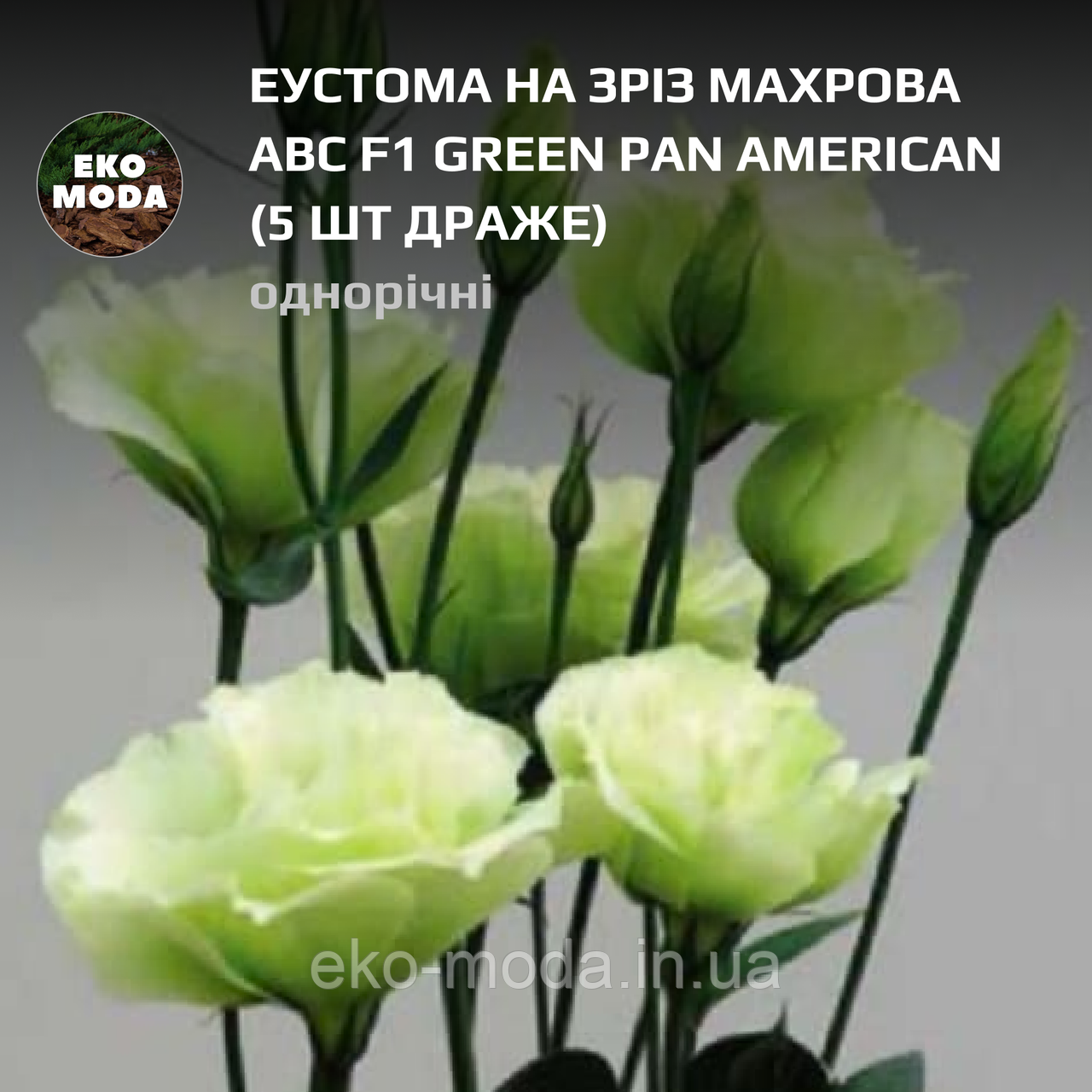 Еустома на зріз махрова АВС F1 green Pan American - (5 шт драже zip-пакет)