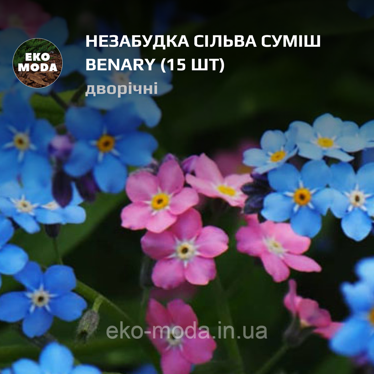 Незабудка Сільва суміш Benary - (15 шт zip-пакет)