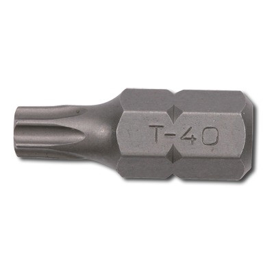 Біта TORX T45х30мм, 10мм (10шт/уп)